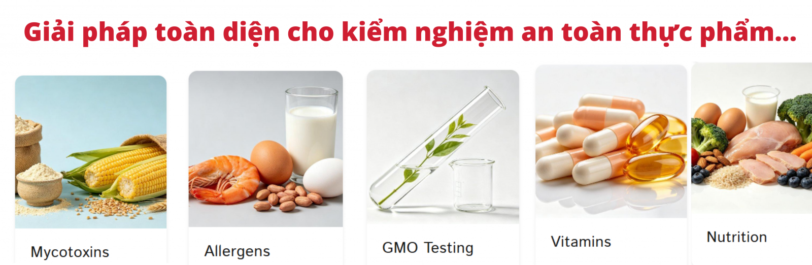 FOOD TESTING