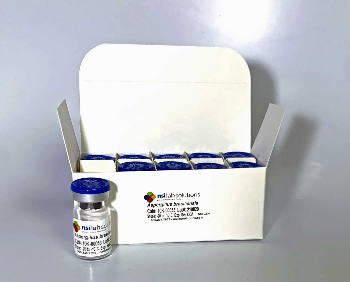 Chủng chuẩn vi sinh Aspergilus brasiliensis