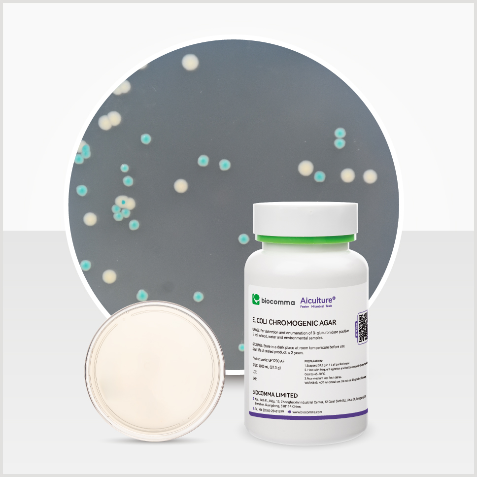 Môi trường sinh màu E. coli Chromogenic Agar, Hãng Biocomma, China
