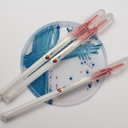 Que cấy chủng vi khuẩn V. parahaemolyticus Snap-Stick