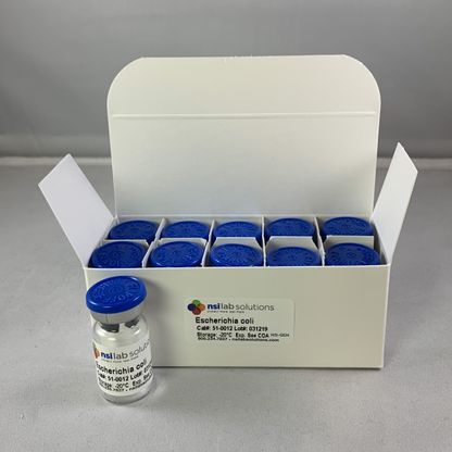 Chủng chuẩn vi sinh E. coli NCTC 12933