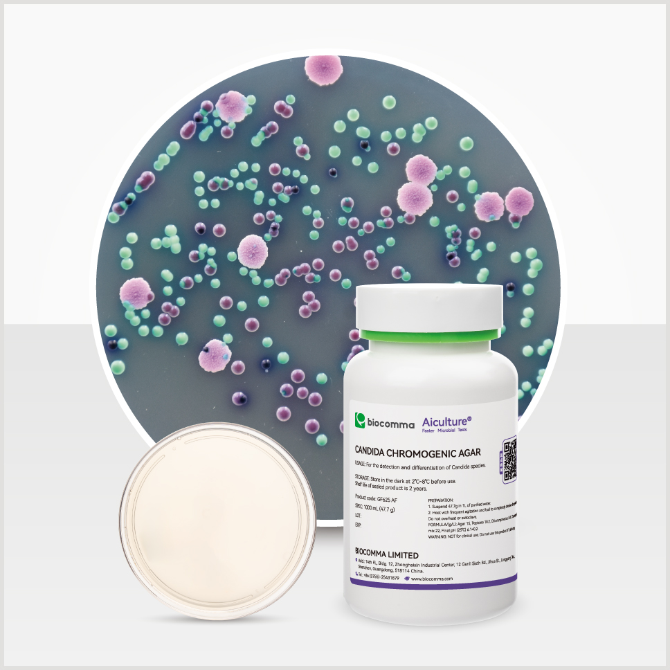 Môi trường sinh màu Candida Chromogenic Agar, Hãng Biocomma, China
