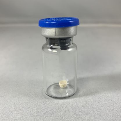 Chủng chuẩn vi sinh Enterobacter aerogenes