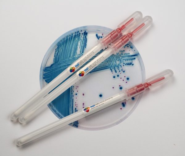 Que cấy chủng vi khuẩn A. fumigatus Snap-Stick