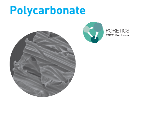 Màng lọc polycarbonate khắc vết (PCTE - Polycarbonate Track Etched Membrane) lấy mẫu amiang (Asbestos), Hãng GVS, Mỹ